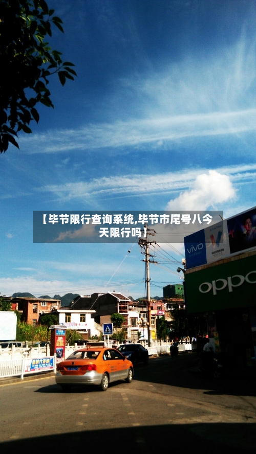 【毕节限行查询系统,毕节市尾号八今天限行吗】-第3张图片