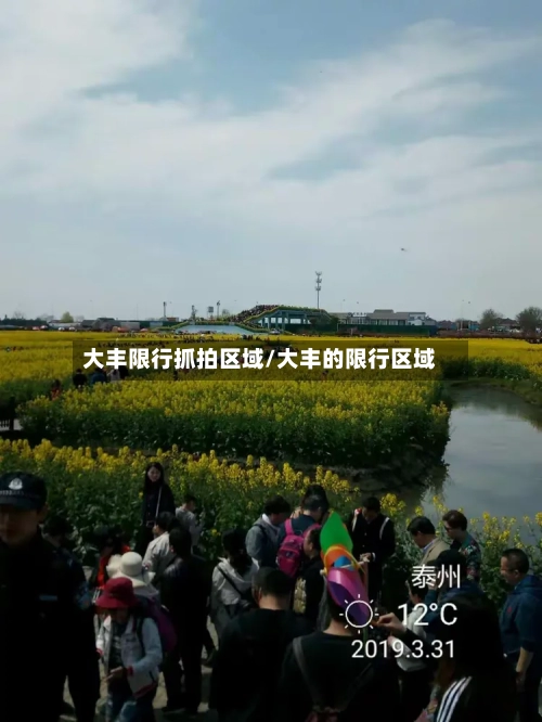 大丰限行抓拍区域/大丰的限行区域