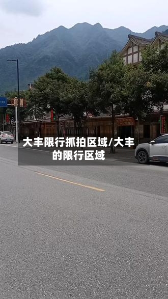 大丰限行抓拍区域/大丰的限行区域-第2张图片