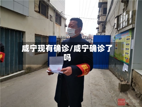 咸宁现有确诊/咸宁确诊了吗
