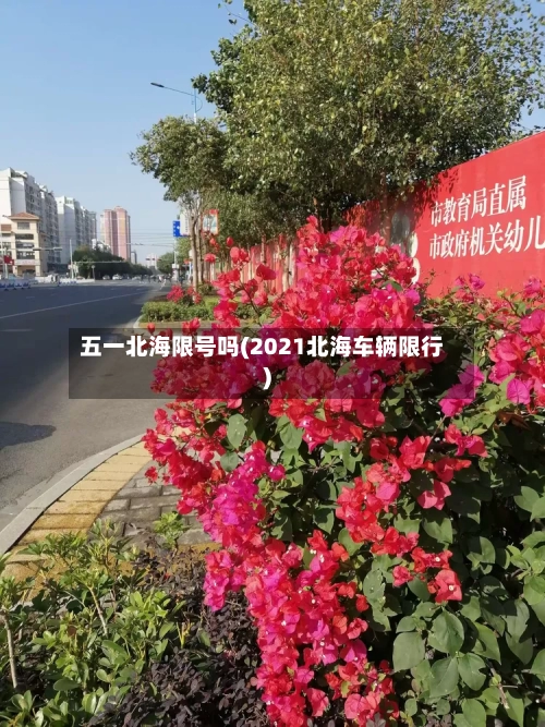 五一北海限号吗(2021北海车辆限行)