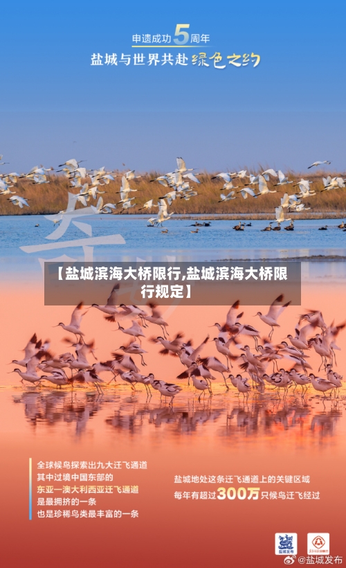 【盐城滨海大桥限行,盐城滨海大桥限行规定】