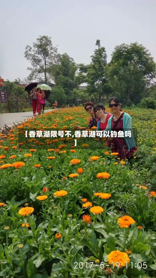 【香草湖限号不,香草湖可以钓鱼吗】