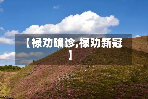【禄劝确诊,禄劝新冠】-第2张图片