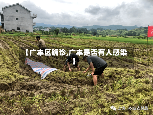 【广丰区确诊,广丰是否有人感染】-第2张图片