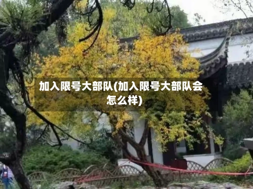 加入限号大部队(加入限号大部队会怎么样)