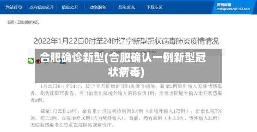 合肥确诊新型(合肥确认一例新型冠状病毒)-第3张图片