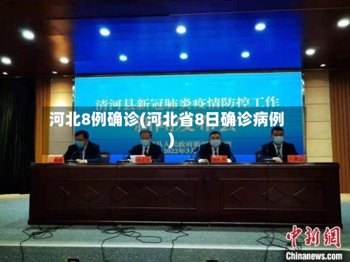 河北8例确诊(河北省8日确诊病例)-第3张图片
