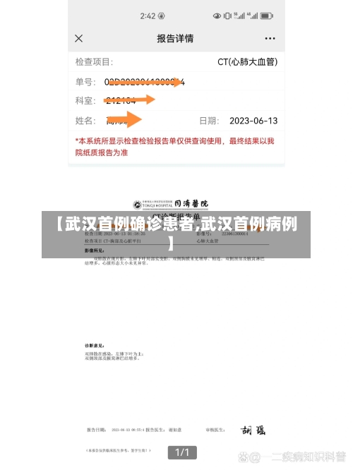 【武汉首例确诊患者,武汉首例病例】