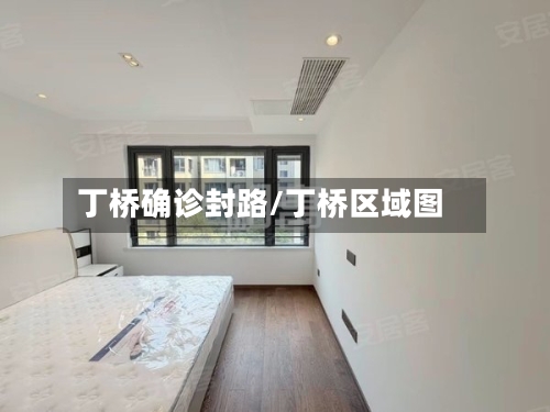 丁桥确诊封路/丁桥区域图