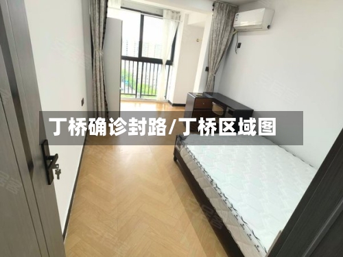 丁桥确诊封路/丁桥区域图-第2张图片