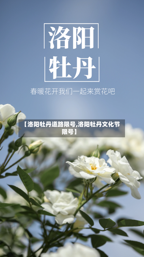 【洛阳牡丹道路限号,洛阳牡丹文化节限号】-第2张图片