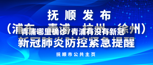 青浦哪里确诊/青浦有没有新冠-第2张图片