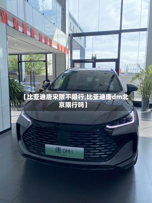 【比亚迪唐宋限不限行,比亚迪唐dm北京限行吗】-第2张图片
