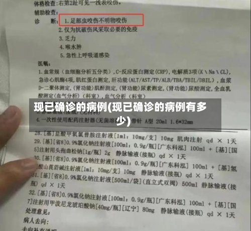 现已确诊的病例(现已确诊的病例有多少)