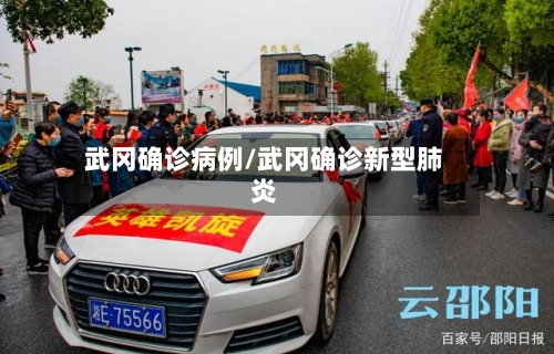 武冈确诊病例/武冈确诊新型肺炎