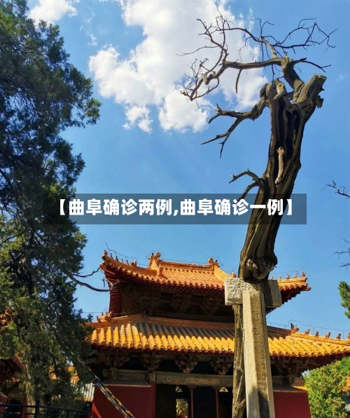 【曲阜确诊两例,曲阜确诊一例】