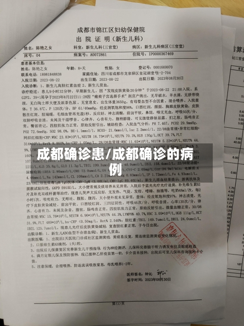 成都确诊患/成都确诊的病例