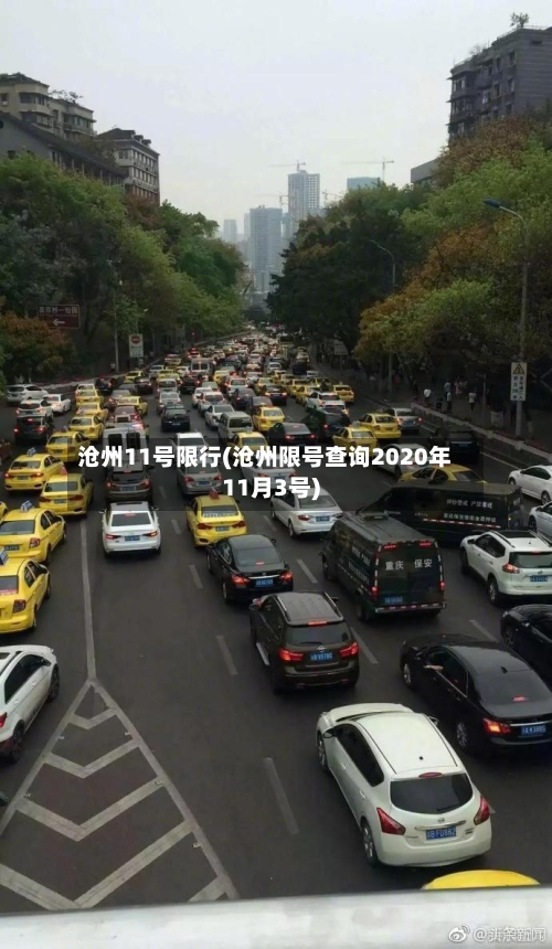 沧州11号限行(沧州限号查询2020年11月3号)