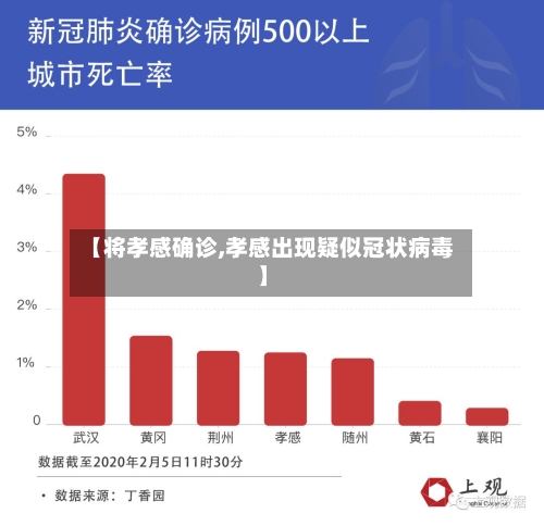 【将孝感确诊,孝感出现疑似冠状病毒】-第2张图片