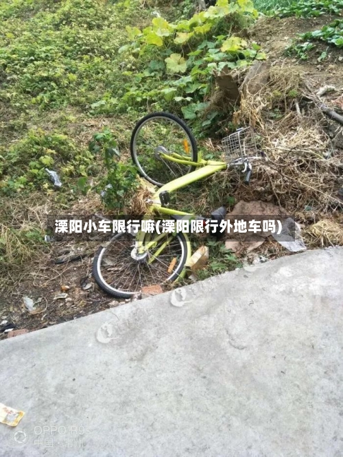 溧阳小车限行嘛(溧阳限行外地车吗)