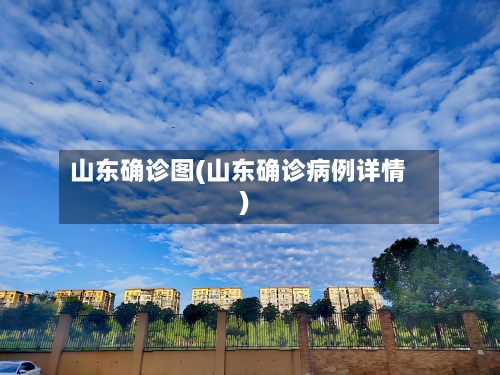 山东确诊图(山东确诊病例详情)