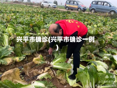兴平市确诊(兴平市确诊一例)