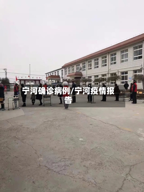 宁河确诊病例/宁河疫情报告-第2张图片