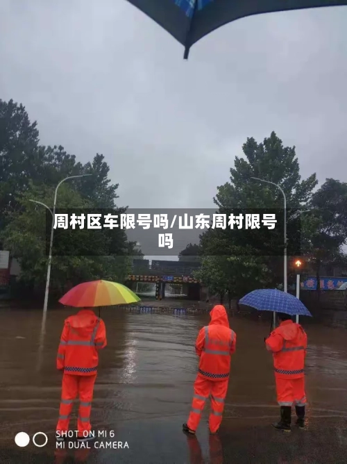 周村区车限号吗/山东周村限号吗
