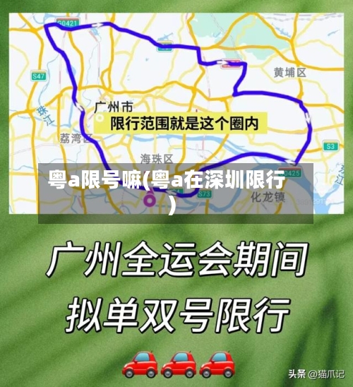 粤a限号嘛(粤a在深圳限行)-第2张图片