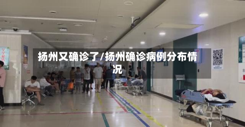 扬州又确诊了/扬州确诊病例分布情况-第2张图片
