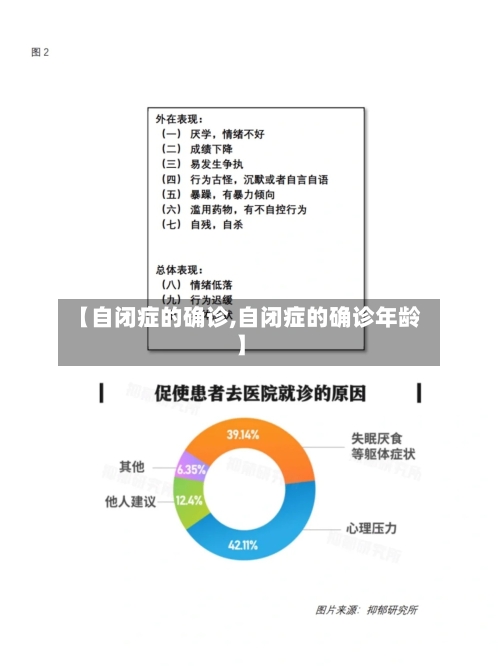 【自闭症的确诊,自闭症的确诊年龄】-第2张图片