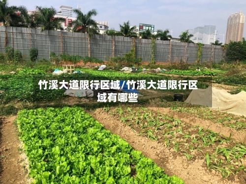 竹溪大道限行区域/竹溪大道限行区域有哪些