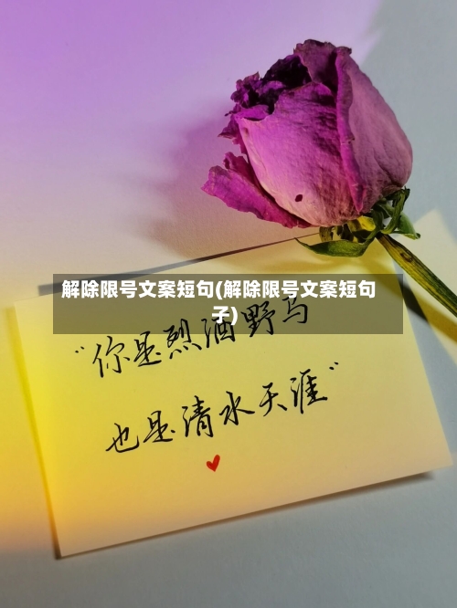 解除限号文案短句(解除限号文案短句子)-第2张图片