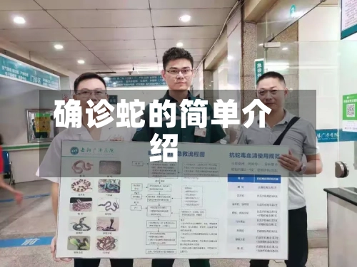 确诊蛇的简单介绍