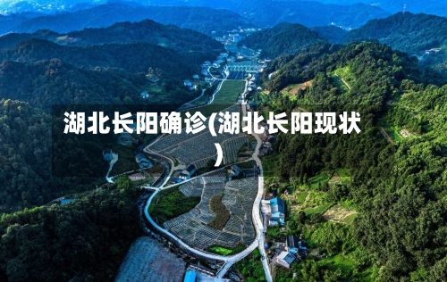 湖北长阳确诊(湖北长阳现状)-第3张图片