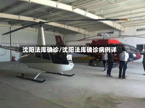 沈阳法库确诊/沈阳法库确诊病例详情-第3张图片