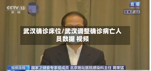 武汉确诊床位/武汉调整确诊病亡人员数据 视频