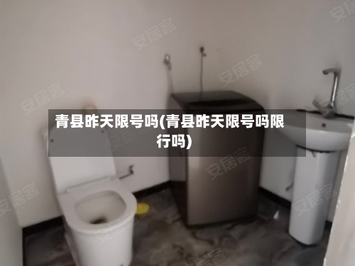 青县昨天限号吗(青县昨天限号吗限行吗)-第3张图片