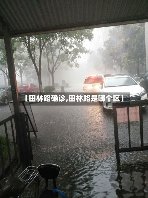 【田林路确诊,田林路是哪个区】