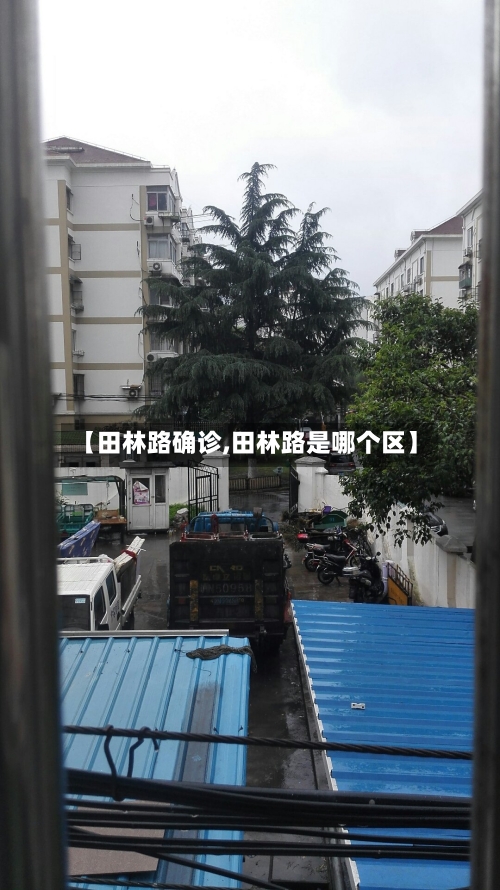 【田林路确诊,田林路是哪个区】-第2张图片