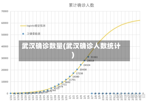 武汉确诊数量(武汉确诊人数统计)