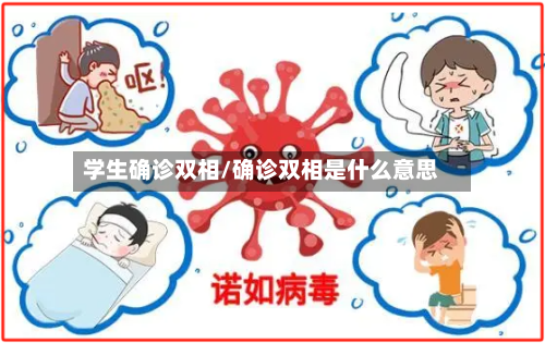 学生确诊双相/确诊双相是什么意思
