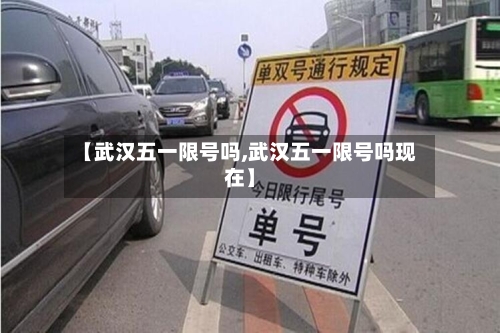 【武汉五一限号吗,武汉五一限号吗现在】-第3张图片