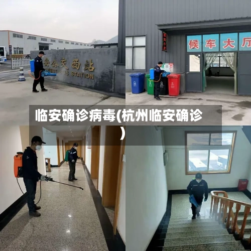 临安确诊病毒(杭州临安确诊)-第3张图片