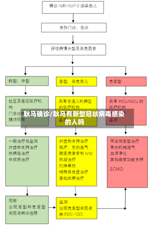 耿马确诊/耿马有新型冠状病毒感染的人吗