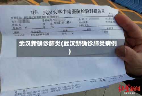 武汉新确诊肺炎(武汉新确诊肺炎病例)-第3张图片