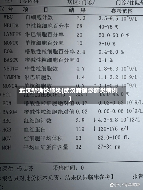 武汉新确诊肺炎(武汉新确诊肺炎病例)-第2张图片