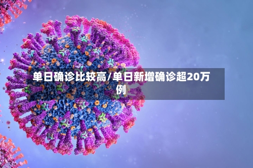 单日确诊比较高/单日新增确诊超20万例