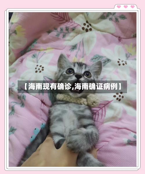 【海南现有确诊,海南确证病例】